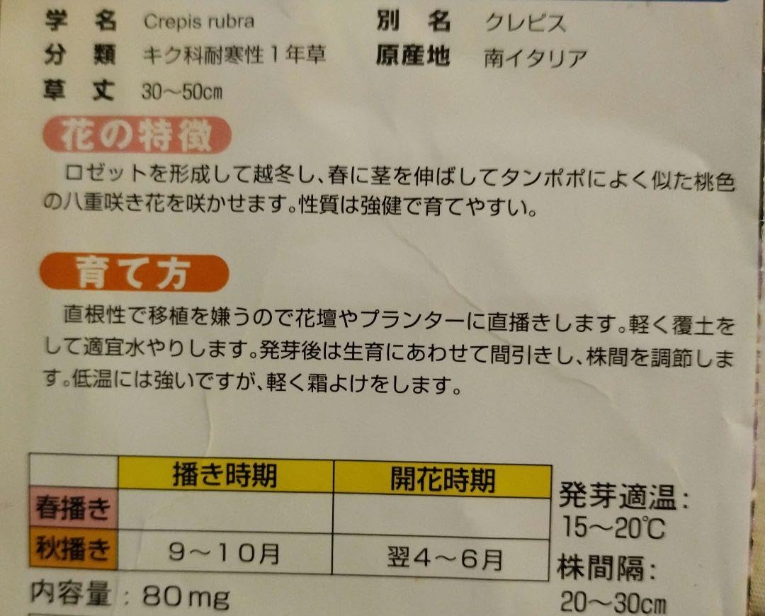 たんぽぽりんページ タケノコノコ on X